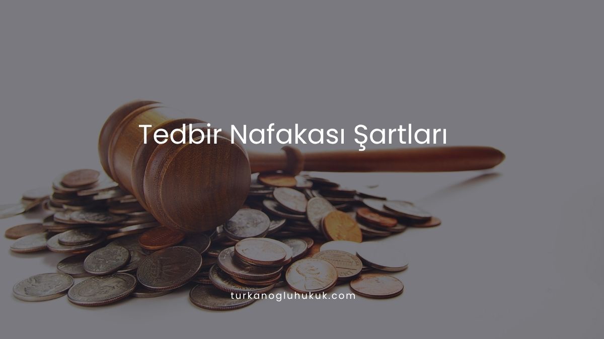 Tedbir Nafakası Şartları