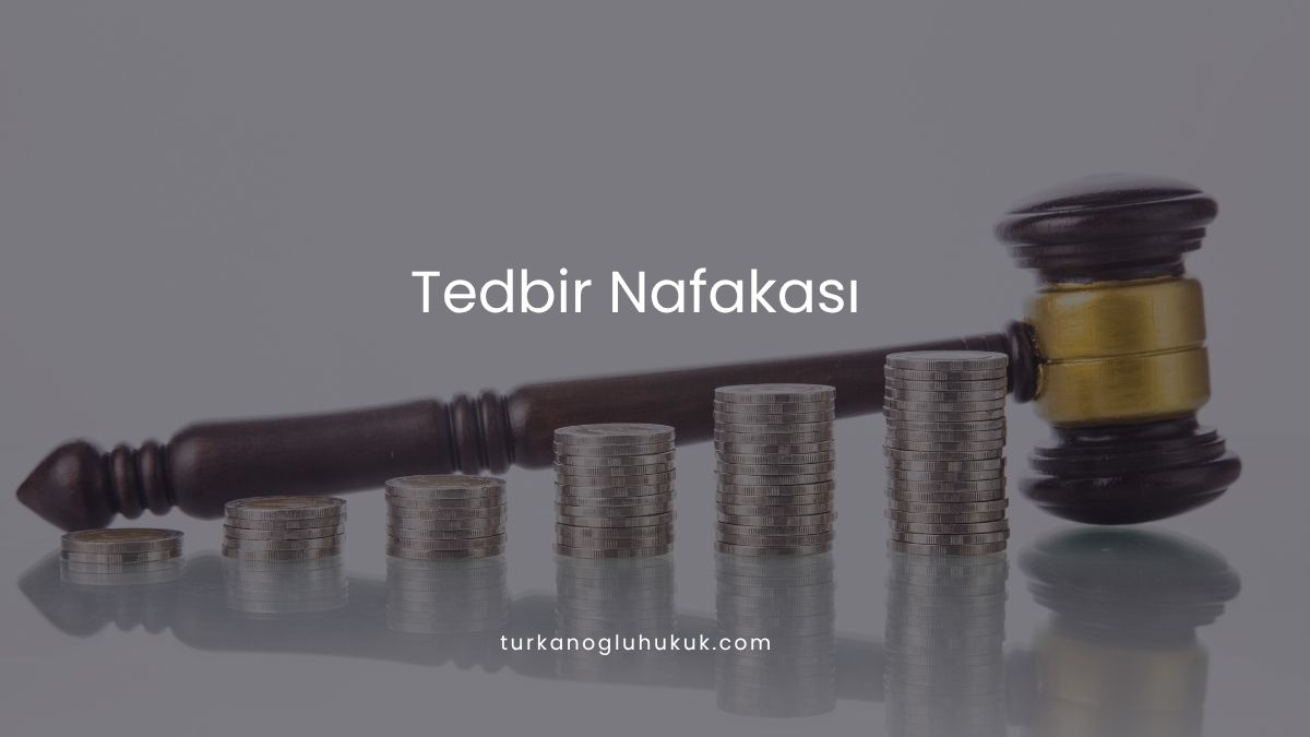 Tedbir Nafakası
